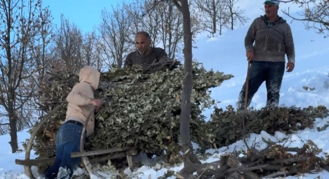Besicilerden kızaklı yem mesaisi