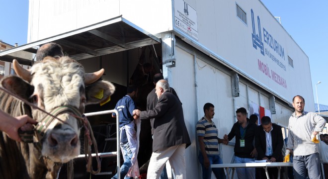 Büyükşehir Kurban Bayramına hazır