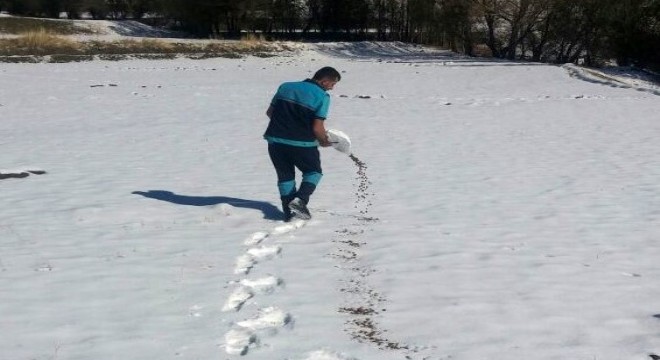 Büyükşehir'den yaban hayatına destek