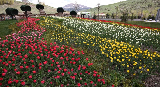 Büyükşehirden çiçeklendirme seferberliği