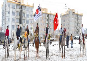 Ciritte yeni sinerji