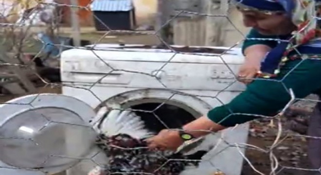 Çamaşır makinesini kümes yaptı