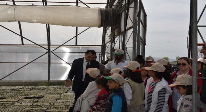 Çocuklara fidan dikimi eğitimi