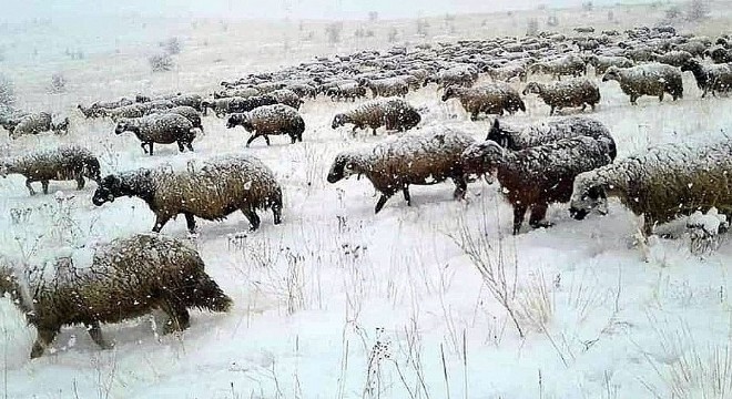 Doğu'dan kartpostallık görüntüler