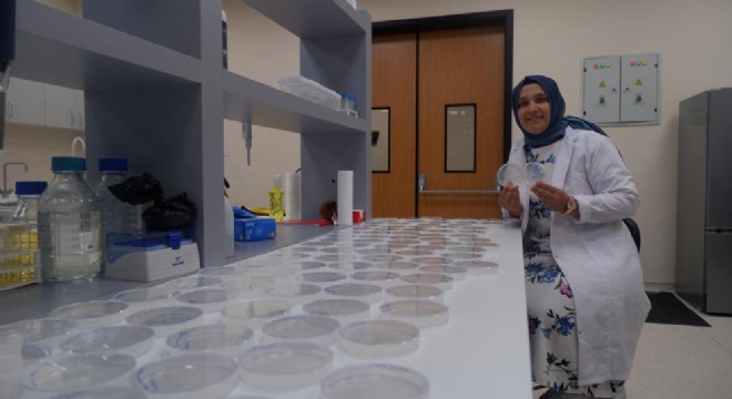 ETÜ Bilim insanı Yazıcılar'dan tarımsal proje