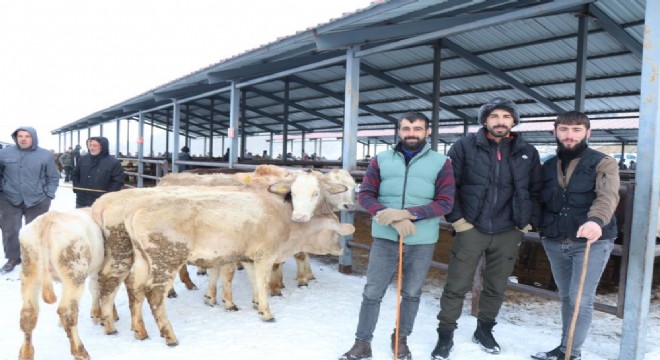 Eksi 15'de hayvan pazarı kuruldu