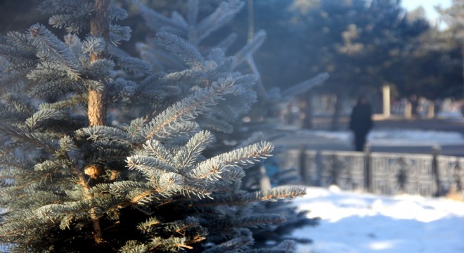 Erzurum -25'i gördü