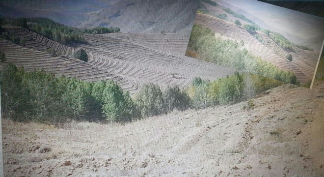 ‘Erzurum'a 8 milyon ağaç dikeceğiz'
