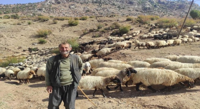 Göçerler, 2 ay süren yolculuğa başladı