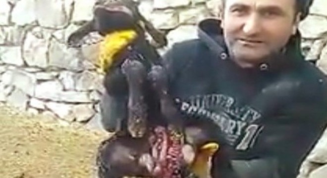 Görenler şaşırdı..!