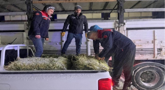 Tarım ve Orman Müdürlüğünden yem desteği