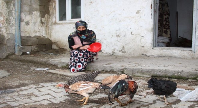 İstanbul'dan Oltu'ya yardım eli