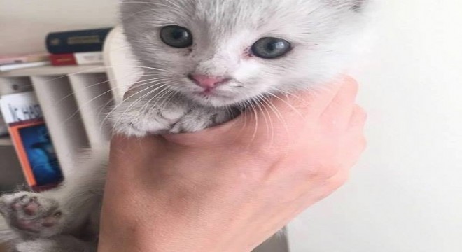 İtfaiyeden merhamet seferberliği