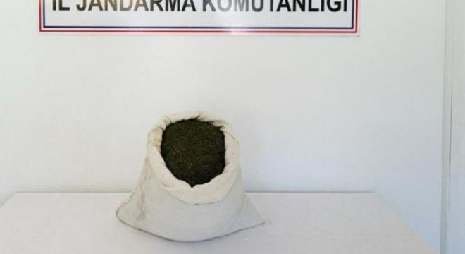 Jandarmadan uyuşturucu operasyonu