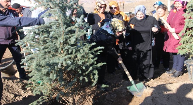 Kadına yönelik şiddete çevreci protesto