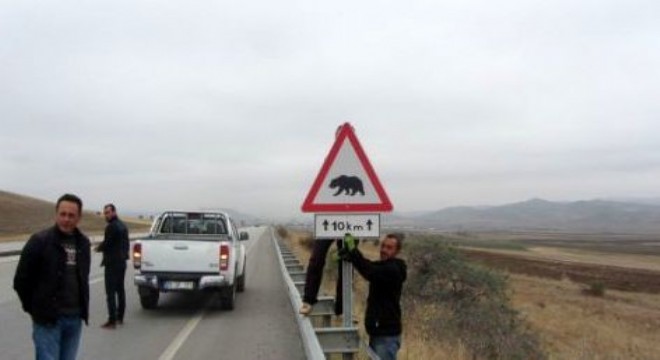 Karayolu'na “boz ayı” uyarı tabelaları konuldu
