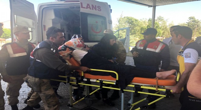 Kuşburnu yiyerek hayatta kalmış