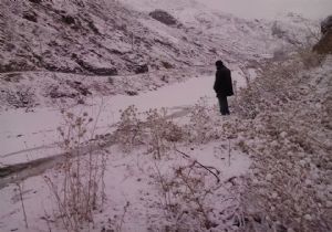 Çoruh'ta çaresizlik dramı