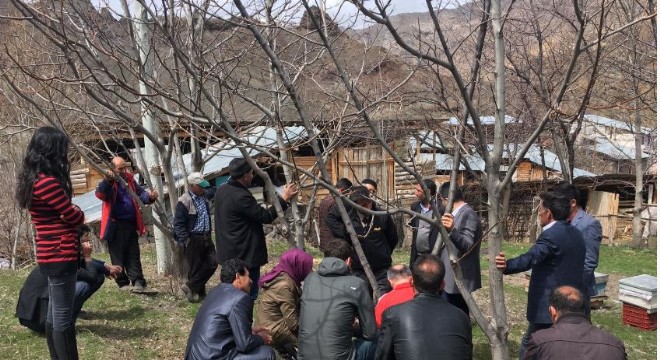 Narman'da ağaçlandırma gündemi