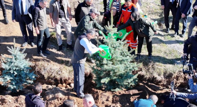 OBM'den sonbahar ağaçlandırma seferberliği