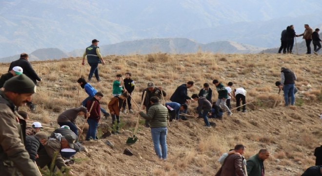 Oltu'da ağaçlandırma seferberliği