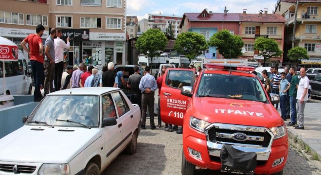 Oltu'da yılan operasyonu