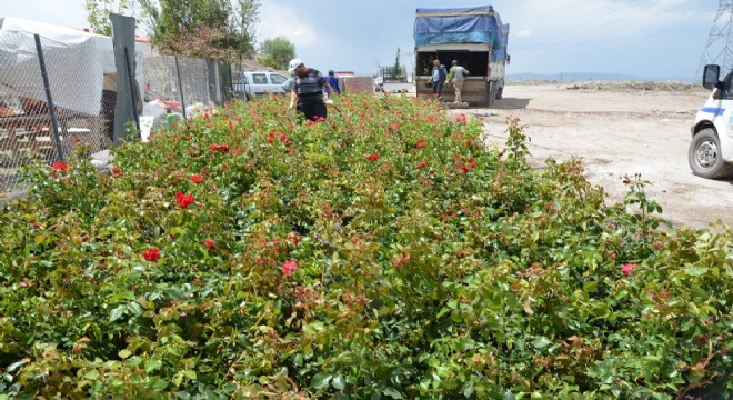 Palandöken'de yeşil çevre seferberliği