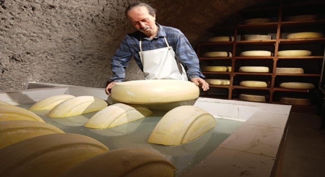 Peynir Müzesi yoğun ilgi görüyor