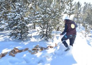 ERTANSA'dan yaban yaşamına destek