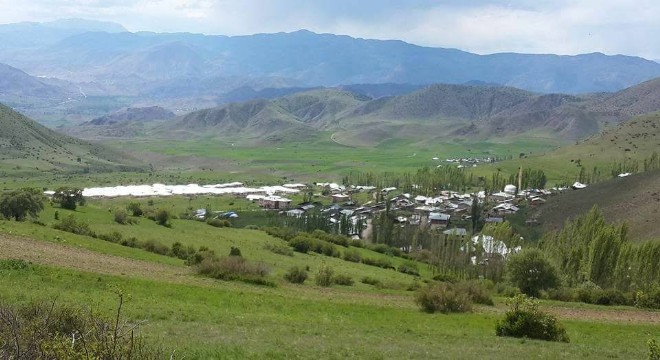 Şenkaya'da Yayla Şenlikleri başlıyor