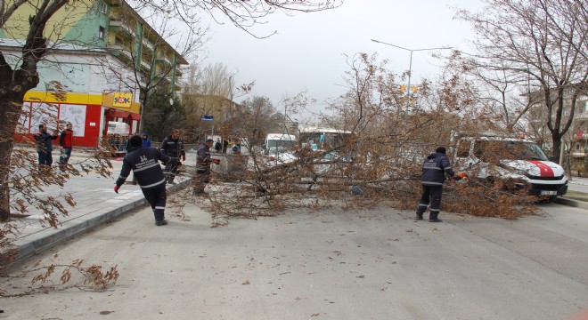 Şiddetli rüzgar hayatı adeta felç etti