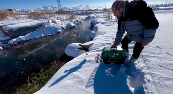 Soğuk hayata mola verdirdi
