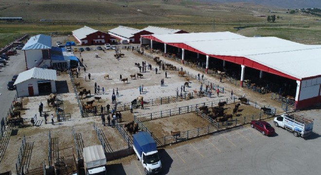 ‘Soran çok, alan yok'