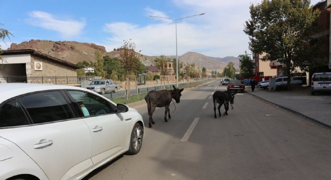 Trafiği altüst ettiler