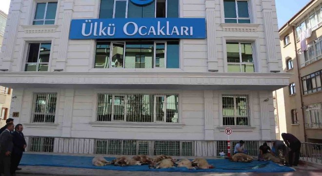 Ülkü Ocakları'ndan Mehmetçiğe kurban