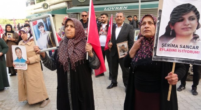 Vanlı ailelerin evlat nöbeti 90'ıncı haftasında