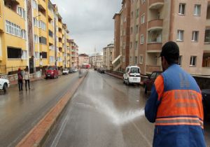 Öncelik: ‘Yeşil bir Erzurum'