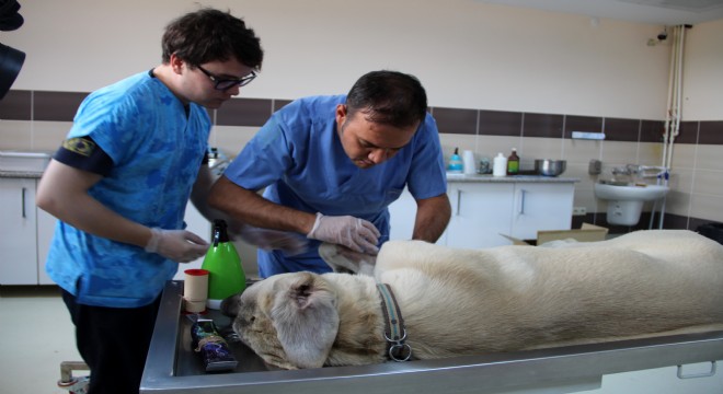 Yanmaz'dan Hayvan Hastanesi değerlendirmesi