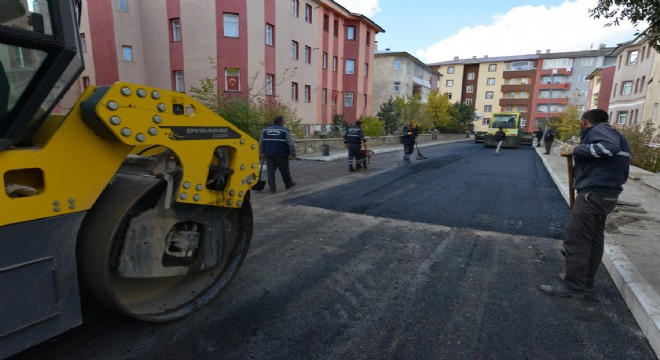 Yeşil sokakların görünümü değişti