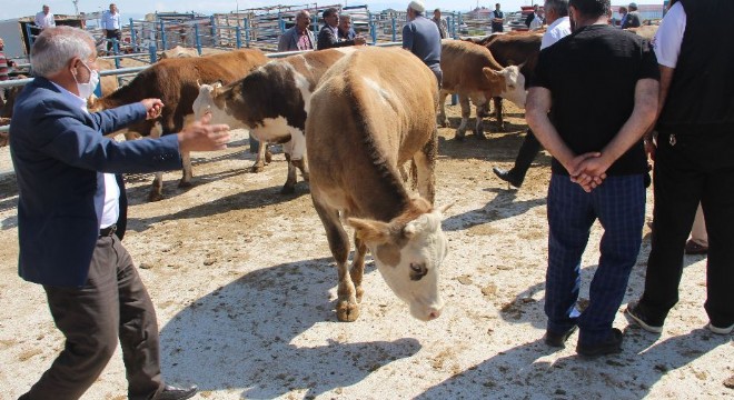 Yıldırım'dan kurbanlık bilgilendirmesi