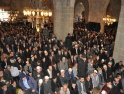 1001 Hatimler başladı..