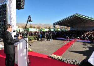 ‘Bedava bu kardeşim, sev, sevil'