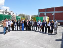 GSF'den KKTC çıkarması