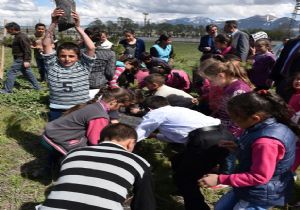 Büyükşehir'den ‘Her Köye Bir Koruluk'