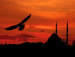 Kandiliniz mübarek olsun