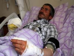 Köyü kurt bastı