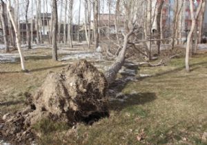 Meteorolojiden önemli uyarı