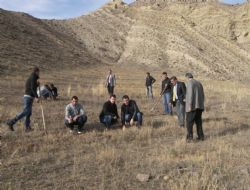 NMYO'dan ağaçlandırma seferberliği