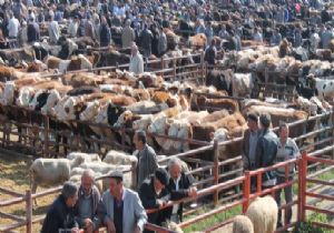 Erzurum'da şap alarmı
