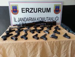 Erzurum'da silah operasyonu